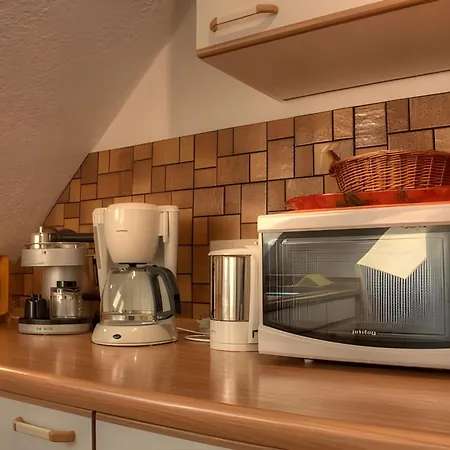 公寓 Haus Wehrle 莱茵河畔的布赖萨赫